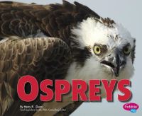 Book Cover for Ospreys by Mary R Dunn