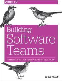 Book Cover for Building Software Teams by Joost Visser
