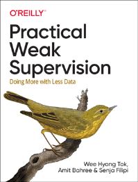 Book Cover for Practical Weak Supervision by WeeHyong Tok, Amit Bahree, Senja Filipi