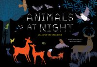 Book Cover for Animals at Night by Anne Jankeliowitch, Delphine Chedru
