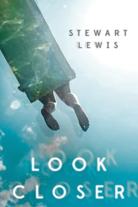 Book Cover for Look Closer by Stewart Lewis