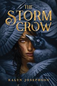 Book Cover for The Storm Crow by Kalyn Josephson