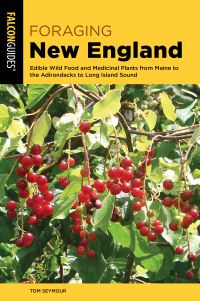 Book Cover for Foraging New England by Tom Seymour