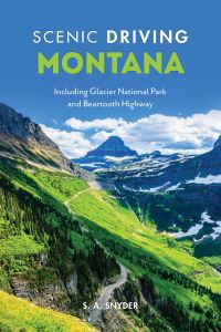 Book Cover for Montana by S A Snyder