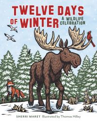 Book Cover for Twelve Days of Winter by Sherri Maret