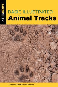 Book Cover for Animal Tracks by Jonathan Hanson, Roseann Beggy Hanson