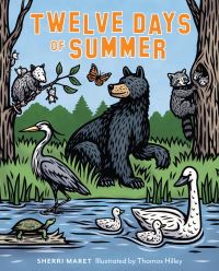 Book Cover for Twelve Days of Summer by Sherri Maret