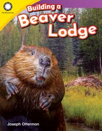 Book Cover for Building a Beaver Lodge by Joseph Otterman