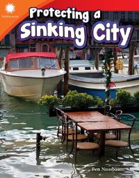 Book Cover for Protecting a Sinking City by Ben Nussbaum