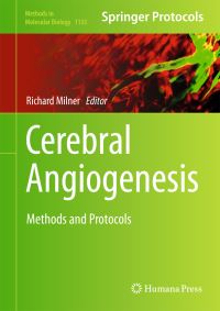 Book Cover for Cerebral Angiogenesis by Richard Milner