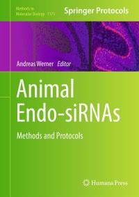 Book Cover for Animal Endo-siRNAs by Andreas Werner