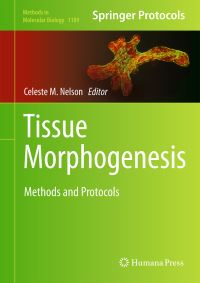 Book Cover for Tissue Morphogenesis by Celeste M Nelson