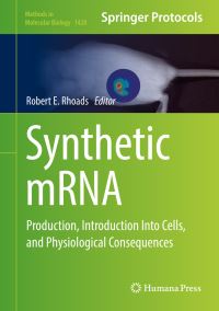 Book Cover for Synthetic mRNA by Robert E Rhoads