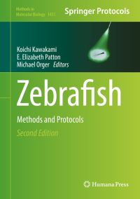 Book Cover for Zebrafish by Koichi Kawakami, Michael Orger, E Elizabeth Patton