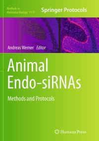 Book Cover for Animal Endo-SiRNAs by Andreas Werner