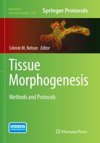 Book Cover for Tissue Morphogenesis by Celeste M Nelson