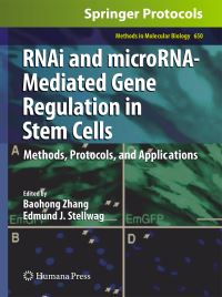 Book Cover for RNAi and MicroRNA-Mediated Gene Regulation in Stem Cells by Baohong Zhang, Edmund J Stellwag