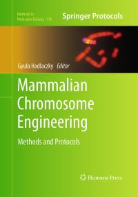 Book Cover for Mammalian Chromosome Engineering by Gyula Hadlaczky