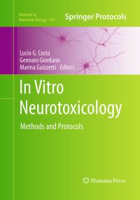 Book Cover for In Vitro Neurotoxicology by Lucio G Costa, Gennaro Giordano, Marina Guizzetti