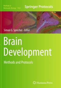 Book Cover for Brain Development by Simon G Sprecher