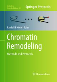 Book Cover for Chromatin Remodeling by Randall H Morse