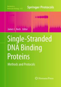 Book Cover for Single-Stranded DNA Binding Proteins by James L Keck