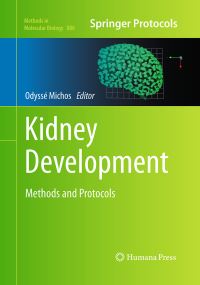 Book Cover for Kidney Development by Odyssé Michos