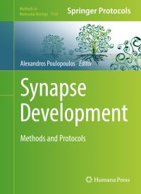 Book Cover for Synapse Development by Alexandros Poulopoulos