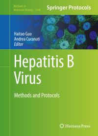 Book Cover for Hepatitis B Virus by Springer Science+Business Media