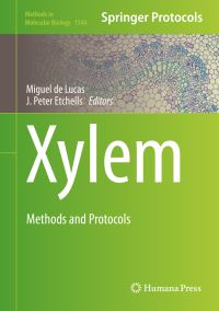 Book Cover for Xylem by Miguel de Lucas, J Peter Etchells