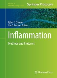 Book Cover for Inflammation by Björn E Clausen, Jon D Laman