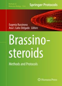 Book Cover for Brassinosteroids by Eugenia Russinova, Ana I CañoDelgado