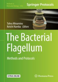 Book Cover for The Bacterial Flagellum by Tohru Minamino, Keiichi Namba