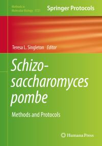 Book Cover for Schizosaccharomyces Pombe by Teresa L Singleton