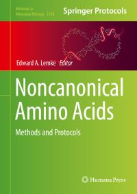 Book Cover for Noncanonical Amino Acids by Edward A Lemke