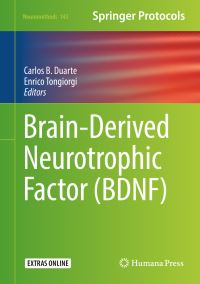 Book Cover for Brain-Derived Neurotrophic Factor (BDNF) by Carlos B Duarte, Enrico Tongiorgi