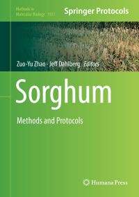 Book Cover for Sorghum by ZuoYu Zhao, Jeff Dahlberg