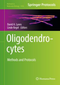 Book Cover for Oligodendrocytes by David A Lyons, Linde Kegel