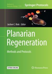 Book Cover for Planarian Regeneration by Jochen C Rink