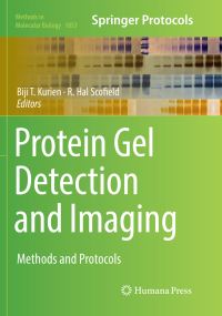 Book Cover for Protein Gel Detection and Imaging by Biji T Kurien, R Hal Scofield