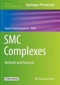 Book Cover for SMC Complexes by Anjana Badrinarayanan