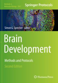 Book Cover for Brain Development by Simon G Sprecher