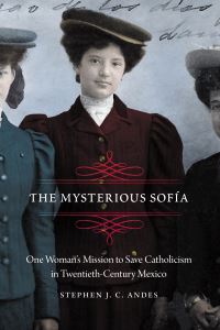 Book Cover for The Mysterious Sofía by Stephen J C Andes