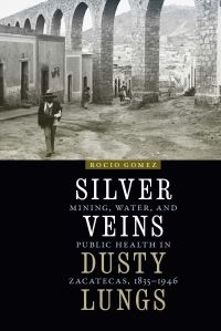 Book Cover for Silver Veins, Dusty Lungs by Rocio Gomez