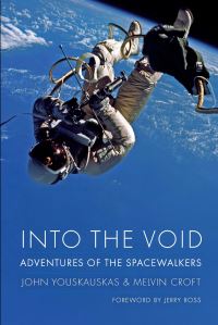 Book Cover for Into the Void by John Youskauskas, Melvin Croft