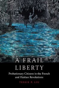 Book Cover for A Frail Liberty by Tessie P Liu