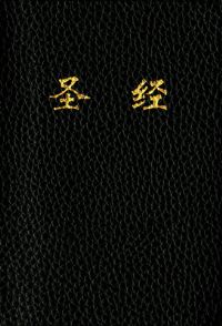 Book Cover for Holy Bible, Chinese Text Edition CUV (Imitation Leather, Black) by Tyndale