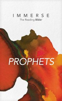 Book Cover for Immerse by Tyndale