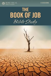 Book Cover for The Book of Job by 
