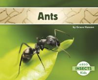 Book Cover for Ants by Grace Hansen